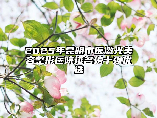 2025年昆明市医激光美容整形医院排名榜十强优选