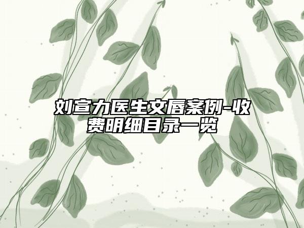 刘宣力医生文唇案例-收费明细目录一览