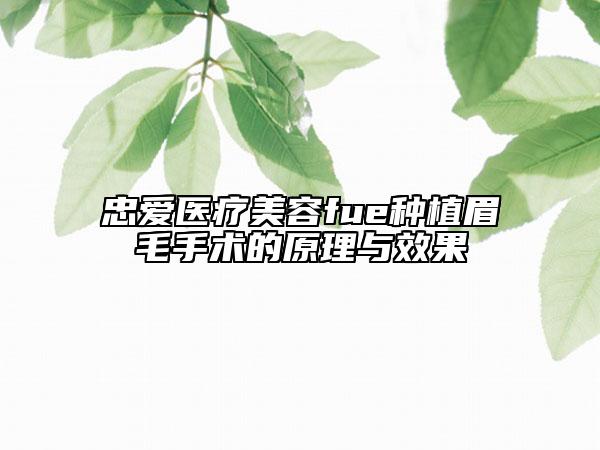 忠爱医疗美容fue种植眉毛手术的原理与效果