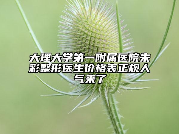 大理大学第一附属医院朱彩整形医生价格表正规人气来了