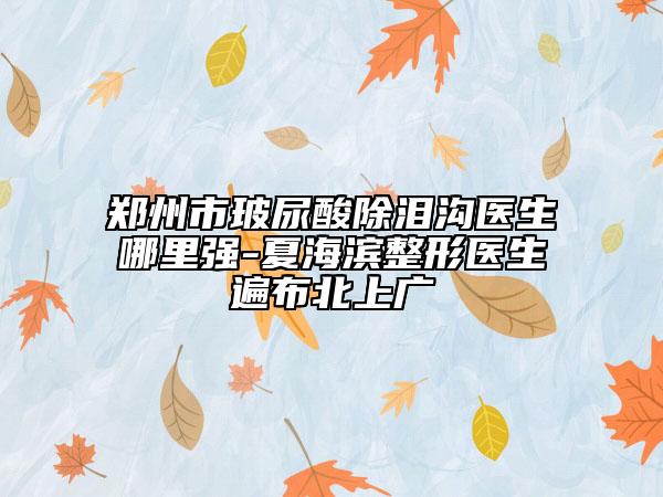 郑州市玻尿酸除泪沟医生哪里强-夏海滨整形医生遍布北上广