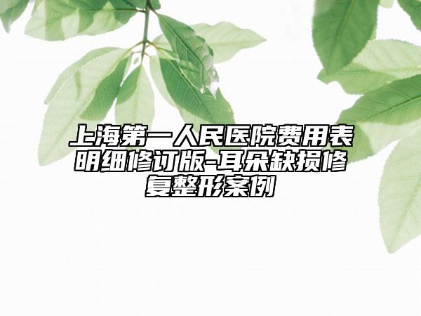 上海第一人民医院费用表明细修订版-耳朵缺损修复整形案例