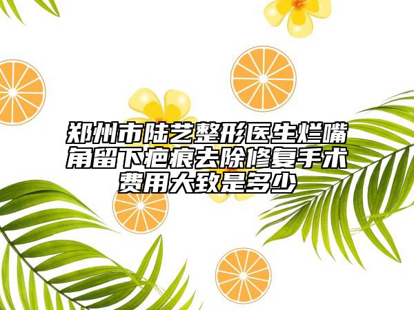 郑州市陆艺整形医生烂嘴角留下疤痕去除修复手术费用大致是多少