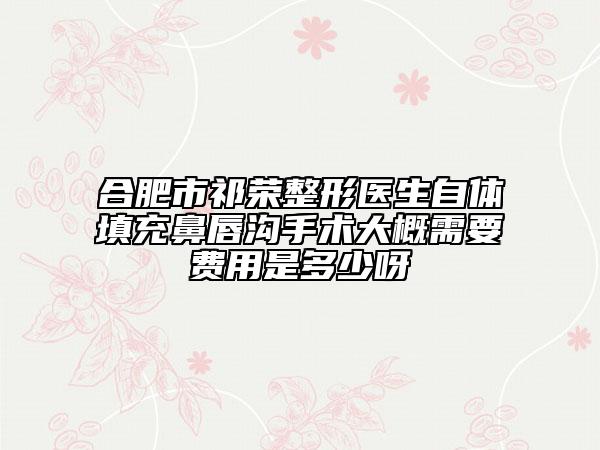 合肥市祁荣整形医生自体填充鼻唇沟手术大概需要费用是多少呀