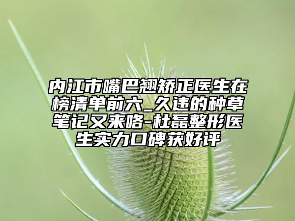 内江市嘴巴翘矫正医生在榜清单前六_久违的种草笔记又来咯-杜磊整形医生实力口碑获好评
