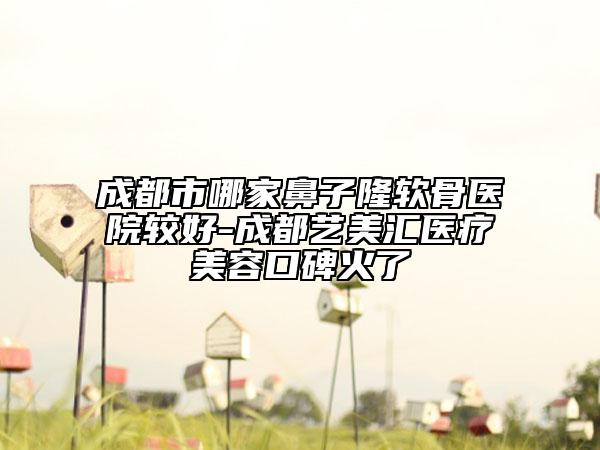 成都市哪家鼻子隆软骨医院较好-成都艺美汇医疗美容口碑火了