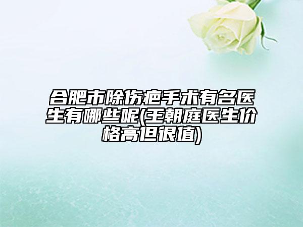 合肥市除伤疤手术有名医生有哪些呢(王朝庭医生价格高但很值)