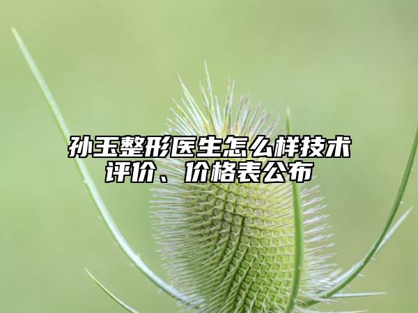 孙玉整形医生怎么样技术评价、价格表公布