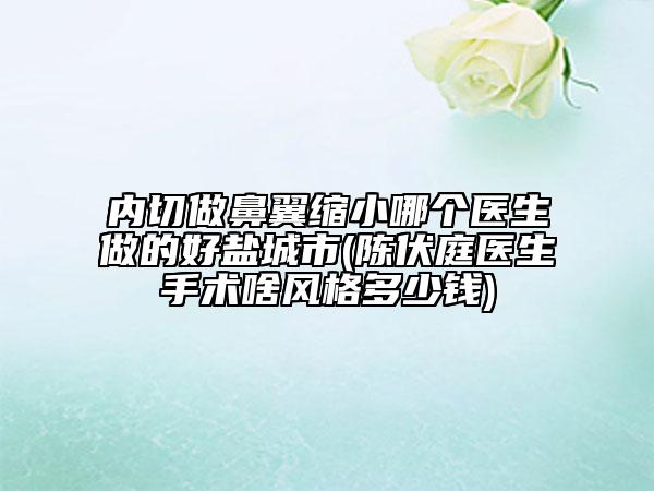 内切做鼻翼缩小哪个医生做的好盐城市(陈伏庭医生手术啥风格多少钱)