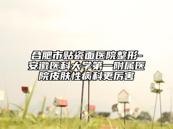 合肥市贴瓷面医院整形-安徽医科大学第一附属医院皮肤性病科更厉害