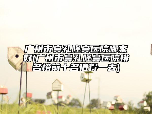 广州市鼻孔隆鼻医院哪家好(广州市鼻孔隆鼻医院排名榜前十名值得一去)