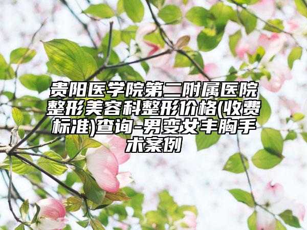 贵阳医学院第二附属医院整形美容科整形价格(收费标准)查询-男变女丰胸手术案例