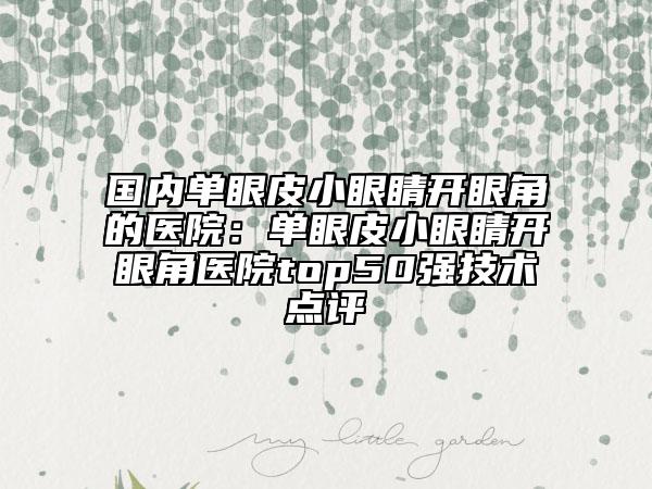 国内单眼皮小眼睛开眼角的医院：单眼皮小眼睛开眼角医院top50强技术点评