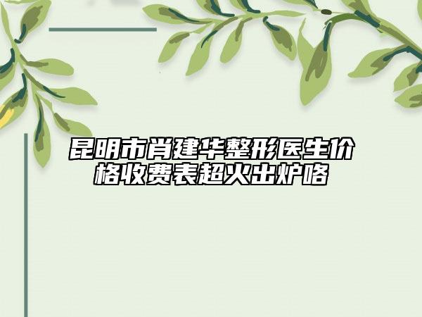 昆明市肖建华整形医生价格收费表超火出炉咯