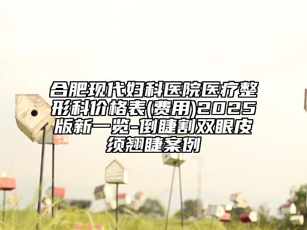 合肥现代妇科医院医疗整形科价格表(费用)2025版新一览-倒睫割双眼皮须翘睫案例
