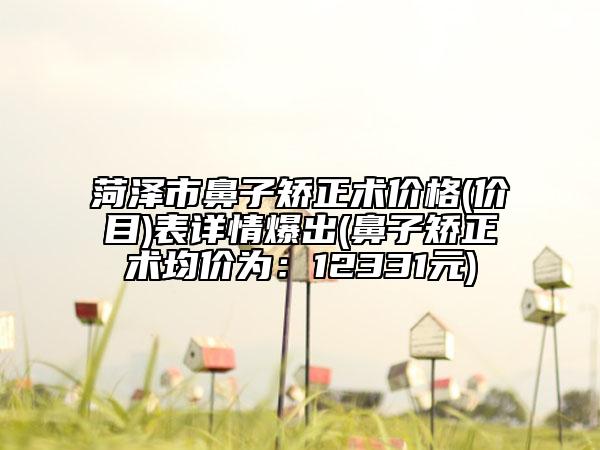 菏泽市鼻子矫正术价格(价目)表详情爆出(鼻子矫正术均价为：12331元)