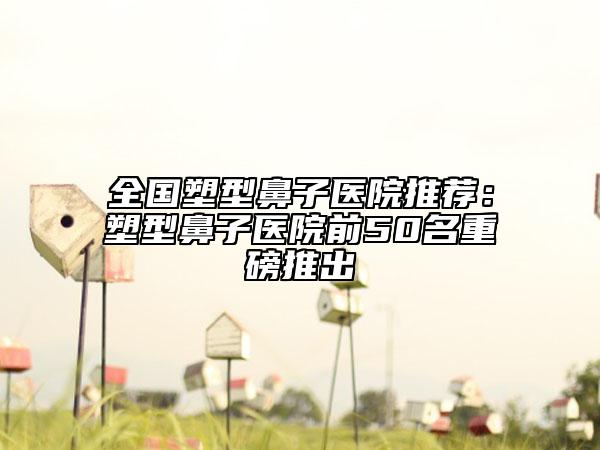 全国塑型鼻子医院推荐：塑型鼻子医院前50名重磅推出