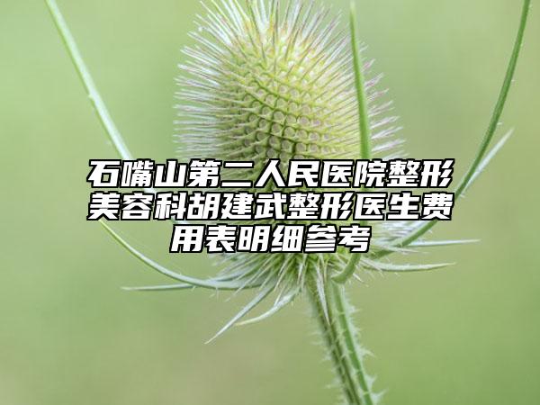石嘴山第二人民医院整形美容科胡建武整形医生费用表明细参考