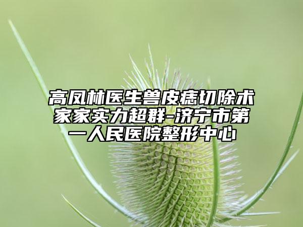 高凤林医生兽皮痣切除术家家实力超群-济宁市第一人民医院整形中心