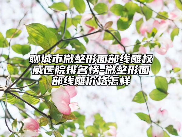 聊城市微整形面部线雕权威医院排名榜-微整形面部线雕价格怎样