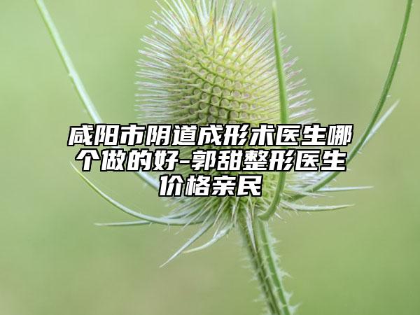 咸阳市阴道成形术医生哪个做的好-郭甜整形医生价格亲民