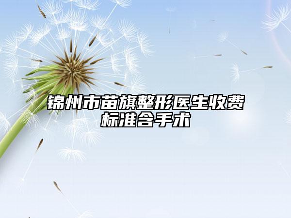 锦州市苗旗整形医生收费标准含手术