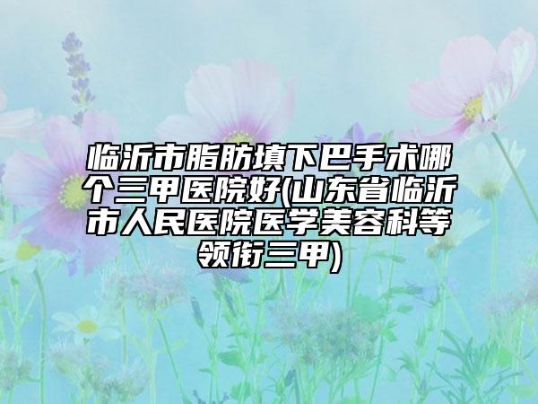 临沂市脂肪填下巴手术哪个三甲医院好(山东省临沂市人民医院医学美容科等领衔三甲)