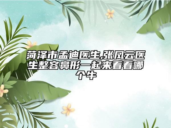 菏泽市孟迪医生,张凤云医生整容鼻形一起来看看哪个牛