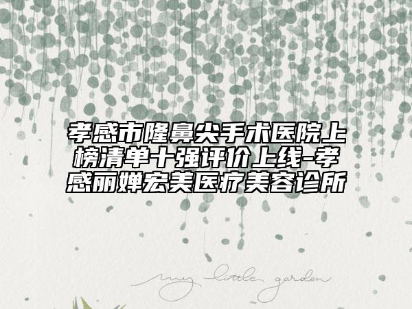孝感市隆鼻尖手术医院上榜清单十强评价上线-孝感丽婵宏美医疗美容诊所