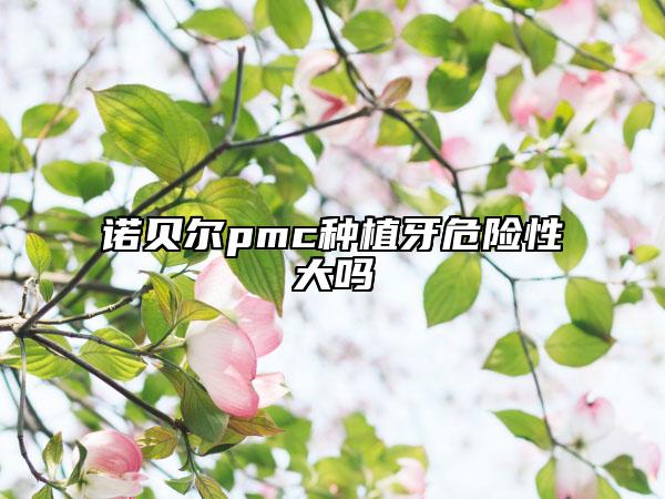 诺贝尔pmc种植牙危险性大吗
