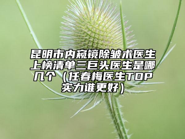 昆明市内窥镜除皱术医生上榜清单三巨头医生是哪几个（任春梅医生TOP实力谁更好）