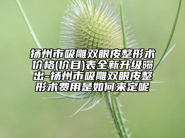 扬州市吸雕双眼皮整形术价格(价目)表全新升级曝出-扬州市吸雕双眼皮整形术费用是如何来定呢