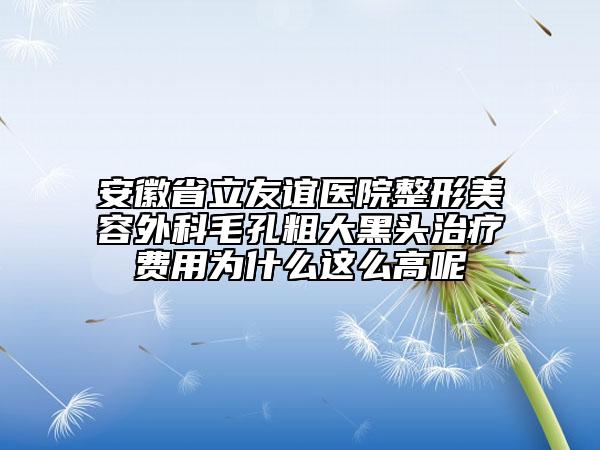 安徽省立友谊医院整形美容外科毛孔粗大黑头治疗费用为什么这么高呢