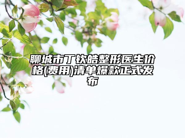 聊城市丁钦皓整形医生价格(费用)清单爆款正式发布