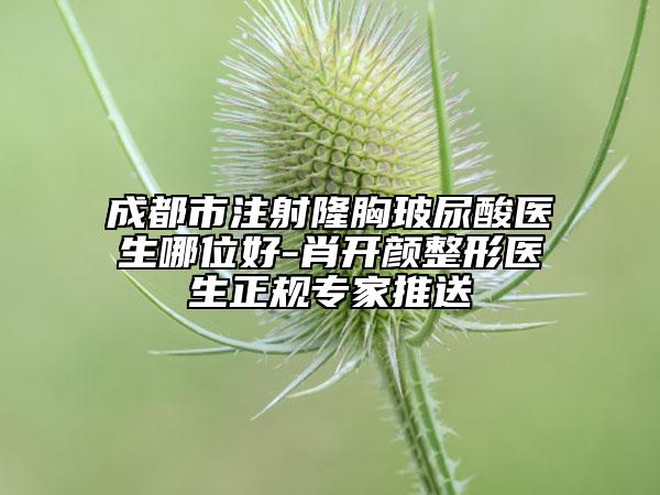 成都市注射隆胸玻尿酸医生哪位好-肖开颜整形医生正规专家推送