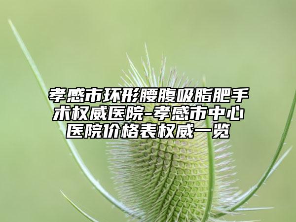 孝感市环形腰腹吸脂肥手术权威医院-孝感市中心医院价格表权威一览