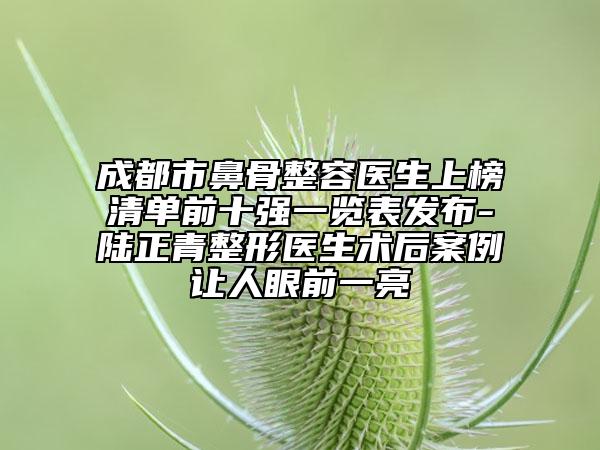 成都市鼻骨整容医生上榜清单前十强一览表发布-陆正青整形医生术后案例让人眼前一亮
