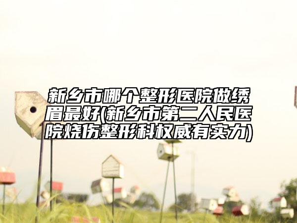 新乡市哪个整形医院做绣眉最好(新乡市第二人民医院烧伤整形科权威有实力)