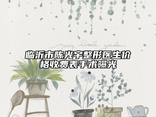 临沂市陈光宇整形医生价格收费表手术曝光