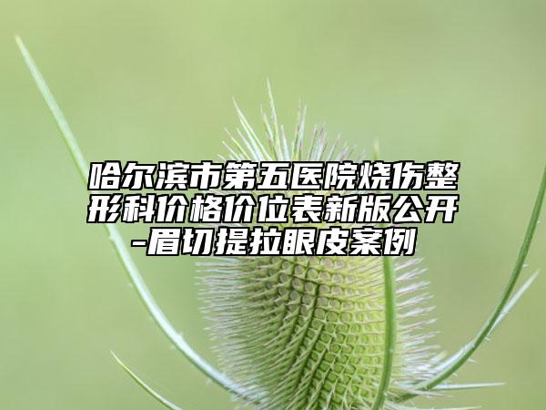 哈尔滨市第五医院烧伤整形科价格价位表新版公开-眉切提拉眼皮案例