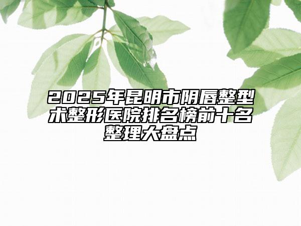 2025年昆明市阴唇整型术整形医院排名榜前十名整理大盘点