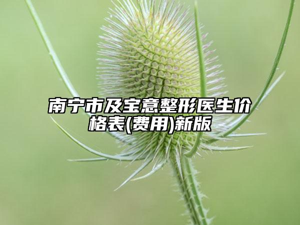 南宁市及宝意整形医生价格表(费用)新版