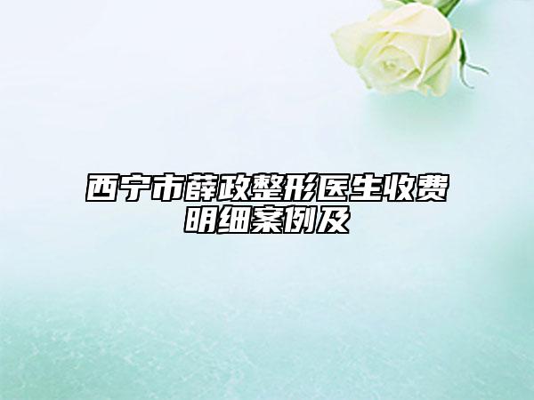 西宁市薛政整形医生收费明细案例及