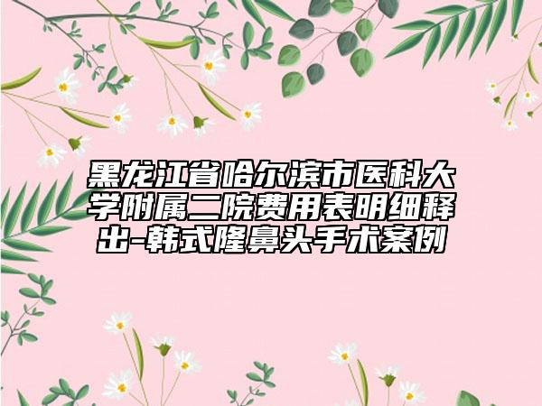 黑龙江省哈尔滨市医科大学附属二院费用表明细释出-韩式隆鼻头手术案例
