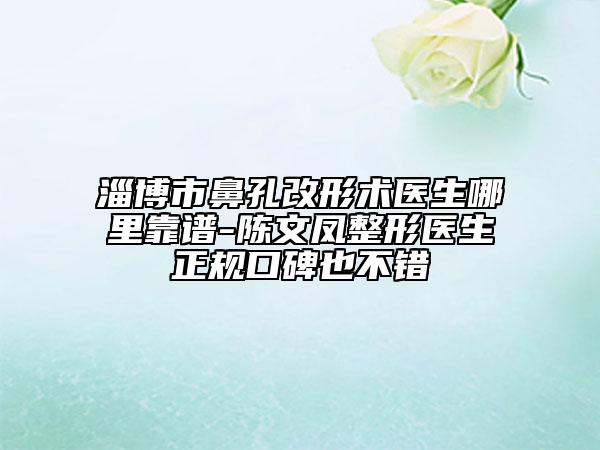 淄博市鼻孔改形术医生哪里靠谱-陈文凤整形医生正规口碑也不错