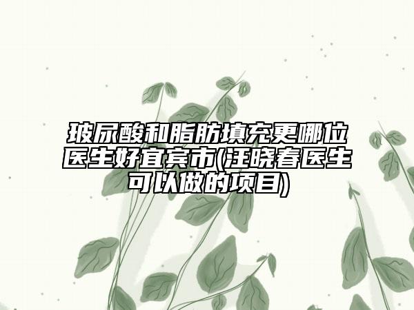 玻尿酸和脂肪填充更哪位医生好宜宾市(汪晓春医生可以做的项目)