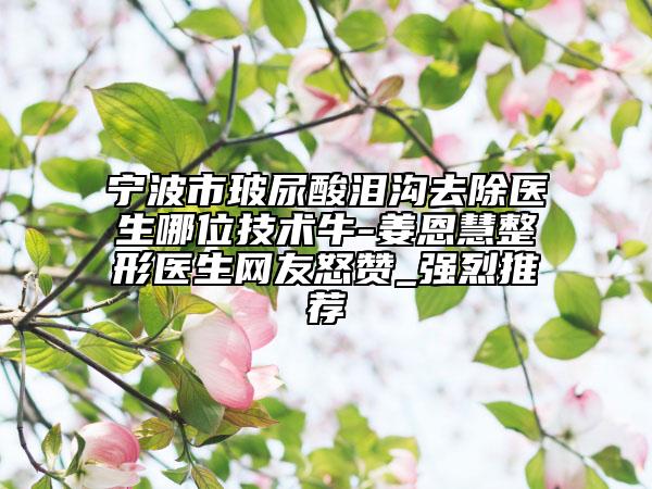 宁波市玻尿酸泪沟去除医生哪位技术牛-姜恩慧整形医生网友怒赞_强烈推荐