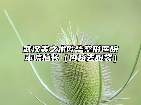 武汉美之术欧华整形医院本院擅长（内路去眼袋）