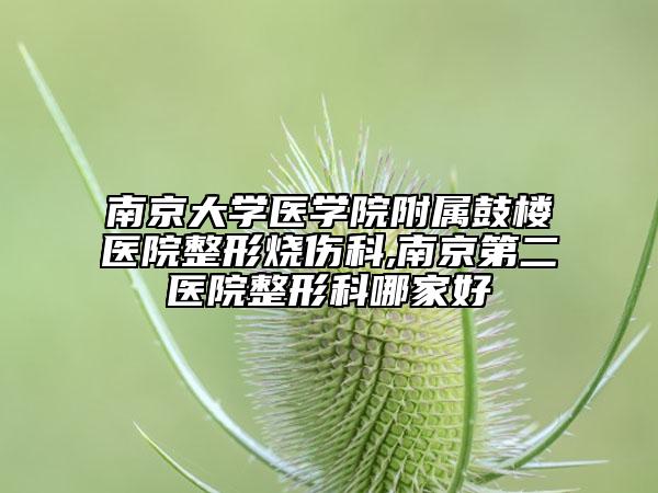 南京大学医学院附属鼓楼医院整形烧伤科,南京第二医院整形科哪家好