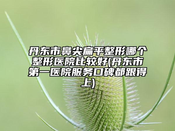 丹东市鼻尖扁平整形哪个整形医院比较好(丹东市第一医院服务口碑都跟得上)